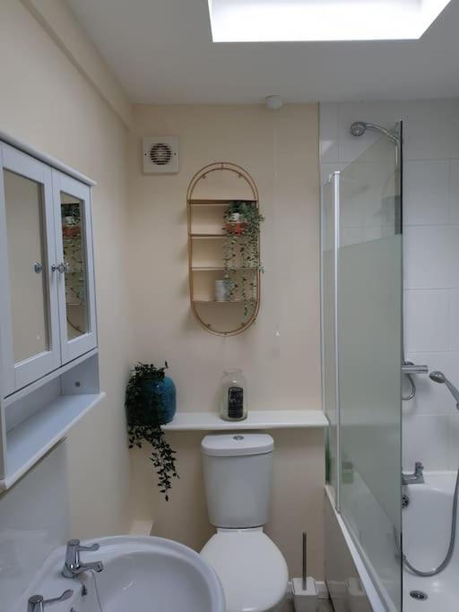 Апартаменты Two Bed Flat Sea View Old Town Гастингс Экстерьер фото